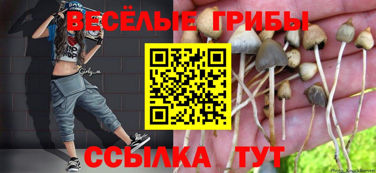 Псилоцибиновые грибы GOLDEN TEACHER  Псилоцибиновые грибы ЛСД  продажа наркотиков  Ревда  Вход с VPN 